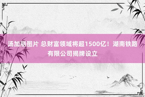 汤加丽图片 总财富领域将超1500亿！湖南铁路有限公司揭牌设立