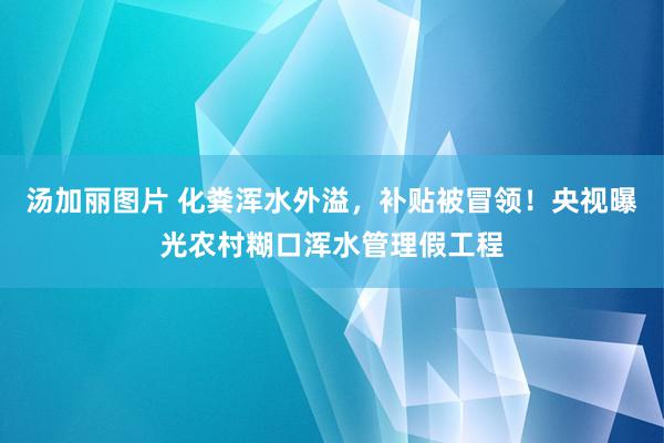 汤加丽图片 化粪浑水外溢，补贴被冒领！央视曝光农村糊口浑水管理假工程