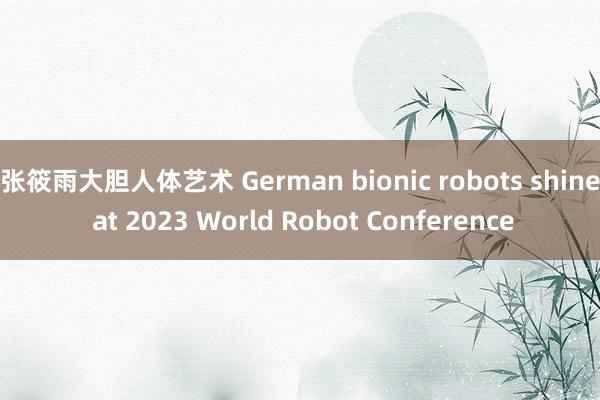 张筱雨大胆人体艺术 German bionic robots shine at 2023 World Robot Conference