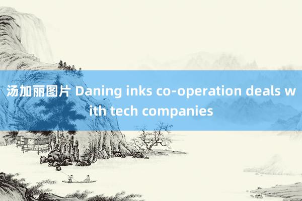 汤加丽图片 Daning inks co-operation deals with tech companies