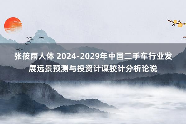 张筱雨人体 2024-2029年中国二手车行业发展远景预测与投资计谋狡计分析论说