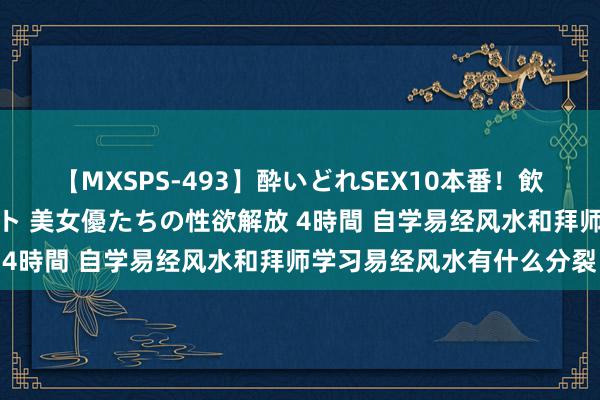 【MXSPS-493】酔いどれSEX10本番！飲んで揉まれてオールナイト 美女優たちの性欲解放 4時間 自学易经风水和拜师学习易经风水有什么分裂