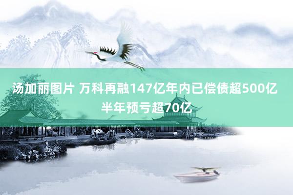 汤加丽图片 万科再融147亿年内已偿债超500亿 半年预亏超70亿