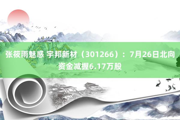 张筱雨魅惑 宇邦新材（301266）：7月26日北向资金减握6.17万股