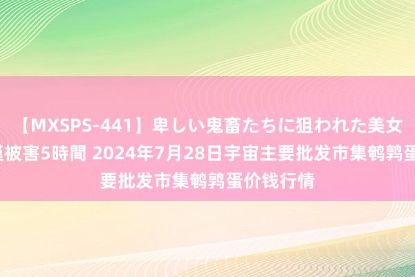 【MXSPS-441】卑しい鬼畜たちに狙われた美女15名 痴漢被害5時間 2024年7月28日宇宙主要批发市集鹌鹑蛋价钱行情