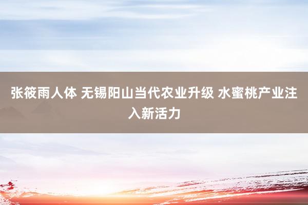 张筱雨人体 无锡阳山当代农业升级 水蜜桃产业注入新活力