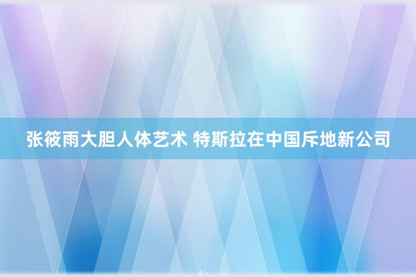 张筱雨大胆人体艺术 特斯拉在中国斥地新公司