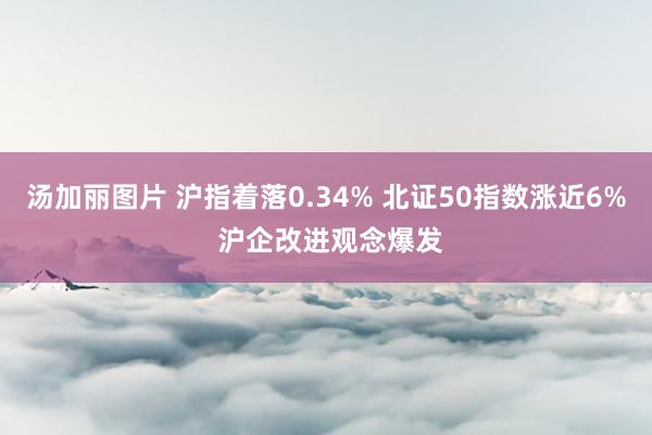 汤加丽图片 沪指着落0.34% 北证50指数涨近6% 沪企改进观念爆发