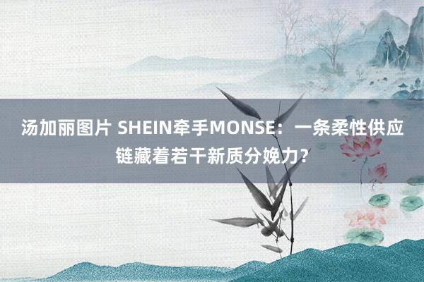 汤加丽图片 SHEIN牵手MONSE：一条柔性供应链藏着若干新质分娩力？