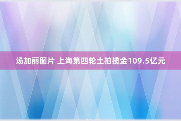 汤加丽图片 上海第四轮土拍揽金109.5亿元