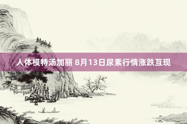 人体模特汤加丽 8月13日尿素行情涨跌互现