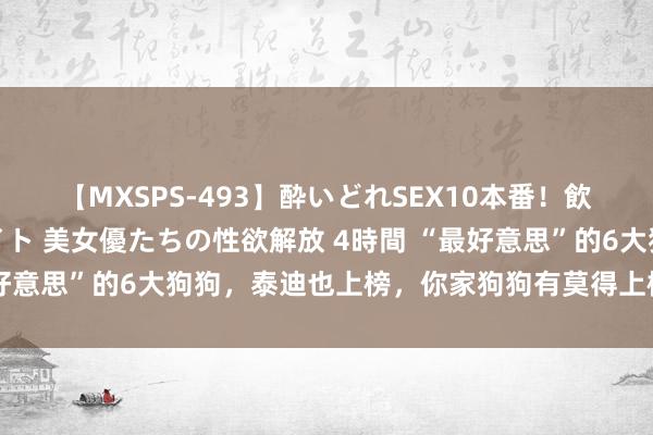 【MXSPS-493】酔いどれSEX10本番！飲んで揉まれてオールナイト 美女優たちの性欲解放 4時間 “最好意思”的6大狗狗，泰迪也上榜，你家狗狗有莫得上榜，排第几？