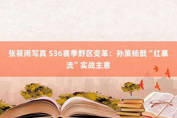 张筱雨写真 S36赛季野区变革：孙策杨戬“红暴流”实战主意