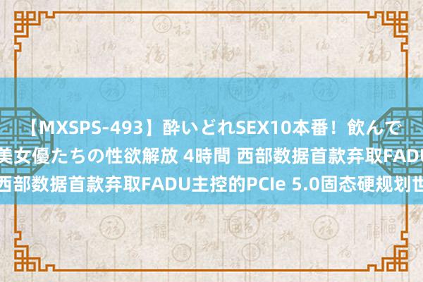 【MXSPS-493】酔いどれSEX10本番！飲んで揉まれてオールナイト 美女優たちの性欲解放 4時間 西部数据首款弃取FADU主控的PCIe 5.0固态硬规划世