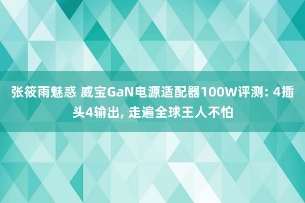 张筱雨魅惑 威宝GaN电源适配器100W评测: 4插头4输出, 走遍全球王人不怕