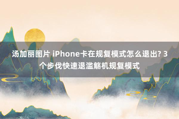 汤加丽图片 iPhone卡在规复模式怎么退出? 3个步伐快速退滥觞机规复模式