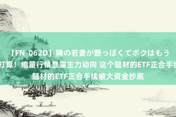 【FN-062D】隣の若妻が艶っぽくてボクはもう… 5 你慌乱我打算！缩量行情显露主力动向 这个题材的ETF正合手续被大资金抄底