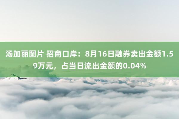 汤加丽图片 招商口岸：8月16日融券卖出金额1.59万元，占当日流出金额的0.04%