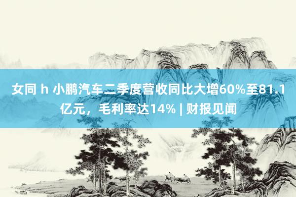 女同 h 小鹏汽车二季度营收同比大增60%至81.1亿元，毛利率达14% | 财报见闻