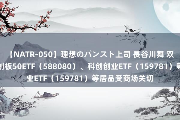 【NATR-050】理想のパンスト上司 長谷川舞 双创板块轰动，科创板50ETF（588080）、科创创业ETF（159781）等居品受商场关切