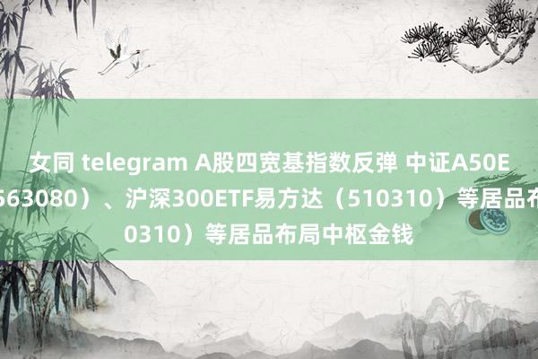 女同 telegram A股四宽基指数反弹 中证A50ETF易方达（563080）、沪深300ETF易方达（510310）等居品布局中枢金钱