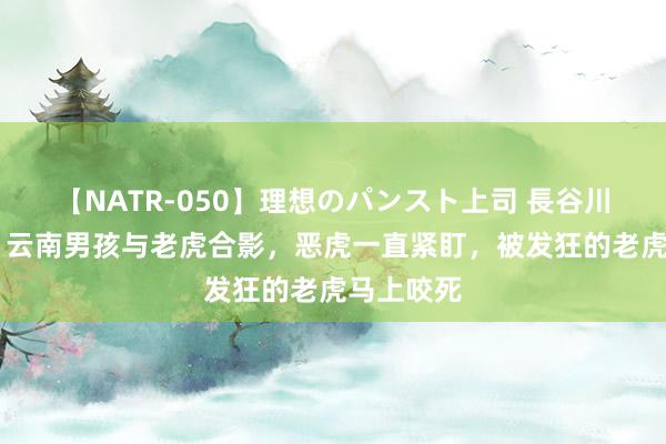 【NATR-050】理想のパンスト上司 長谷川舞 造谣：云南男孩与老虎合影，恶虎一直紧盯，被发狂的老虎马上咬死