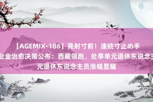 【AGEMIX-186】発射寸前！連続寸止め手コキ 世界待业金治愈决策公布：西藏领跑，处事单元退休东说念主员涨幅显耀