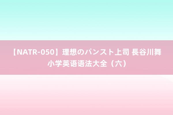 【NATR-050】理想のパンスト上司 長谷川舞 小学英语语法大全（六）